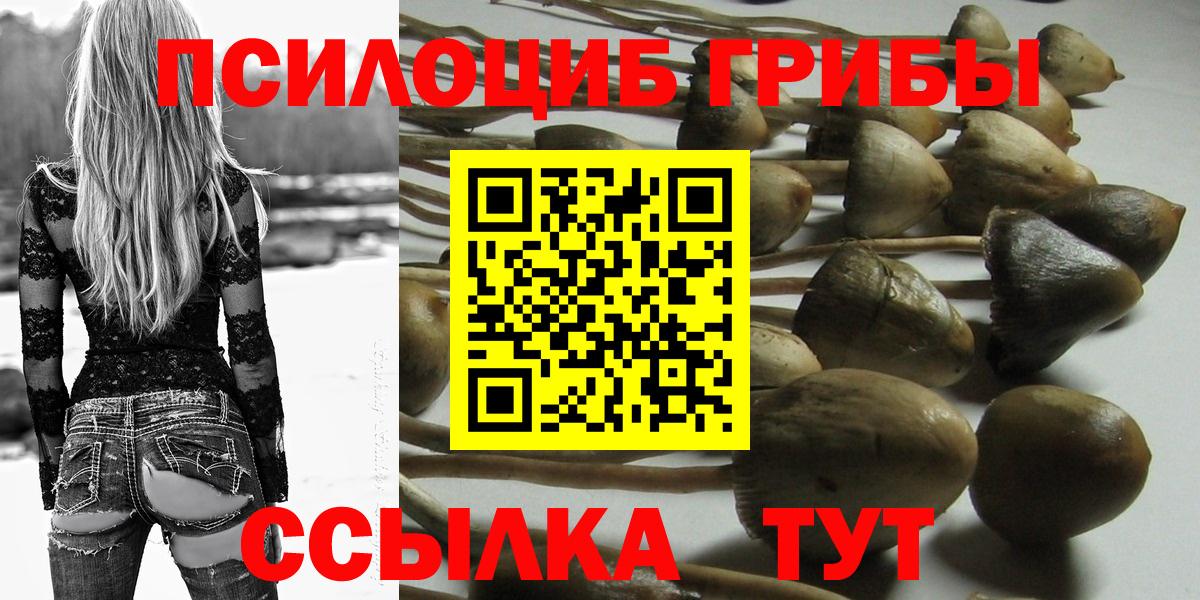 A-PVP Севастополь
