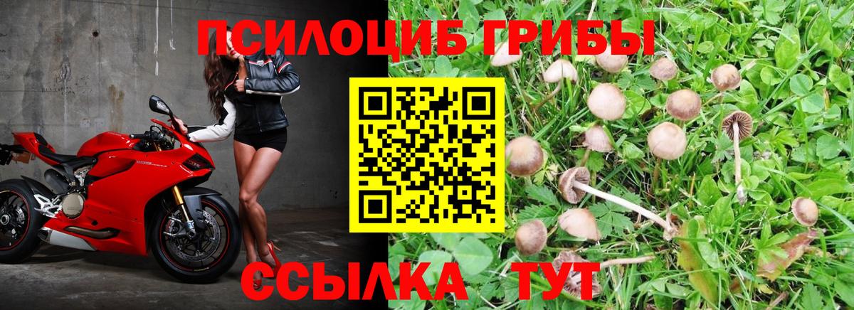 Галлюциногенные грибы MAGIC MUSHROOMS  Вход с VPN  Севастополь 